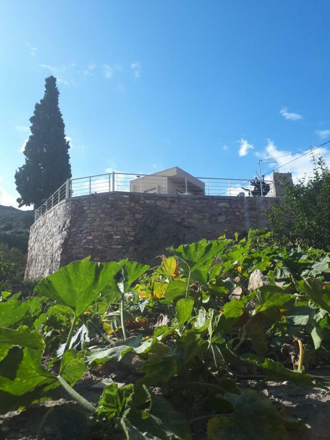Villa Irini - Cretan Luxury Villa With Amazing View Paraspori  المظهر الخارجي الصورة