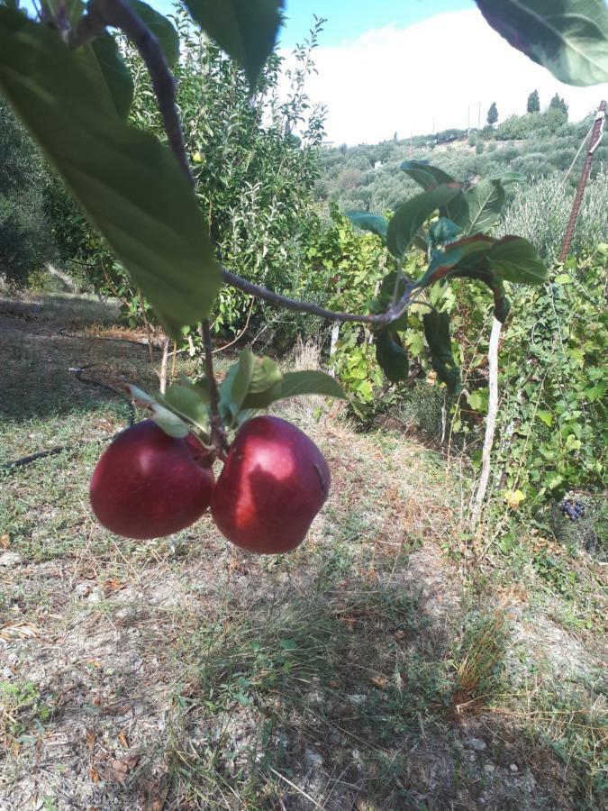 Villa Irini - Cretan Luxury Villa With Amazing View Paraspori  المظهر الخارجي الصورة